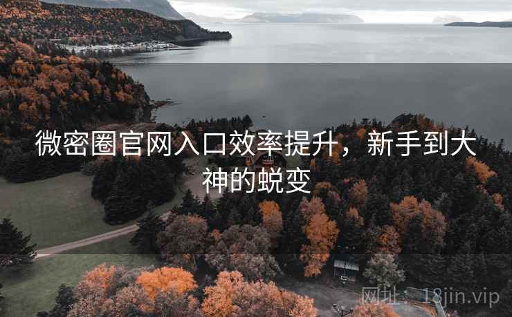微密圈官网入口效率提升，新手到大神的蜕变