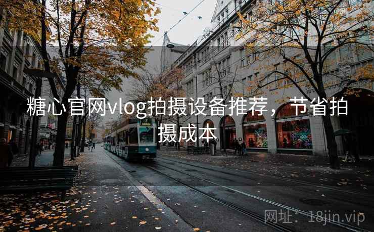 糖心官网vlog拍摄设备推荐，节省拍摄成本
