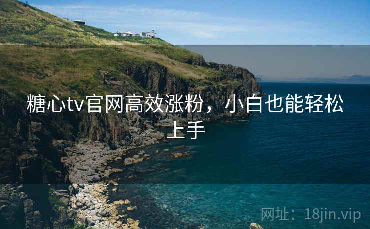 糖心tv官网高效涨粉，小白也能轻松上手