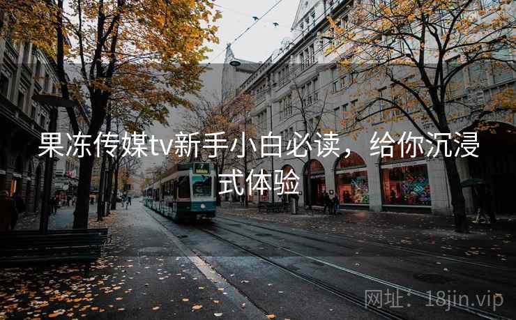 果冻传媒tv新手小白必读，给你沉浸式体验