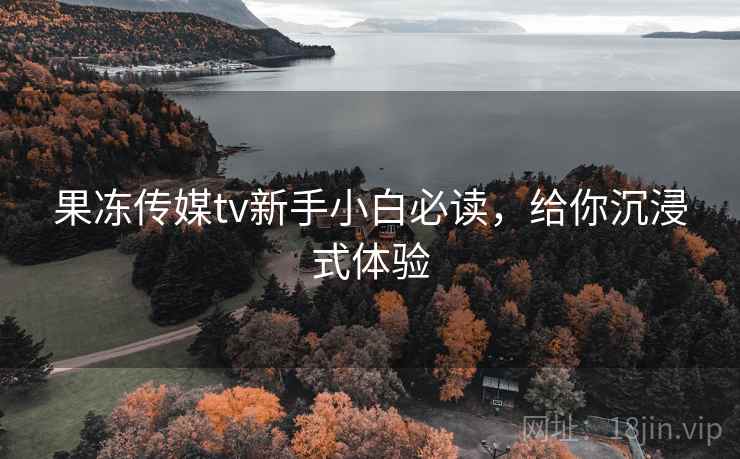 果冻传媒tv新手小白必读，给你沉浸式体验