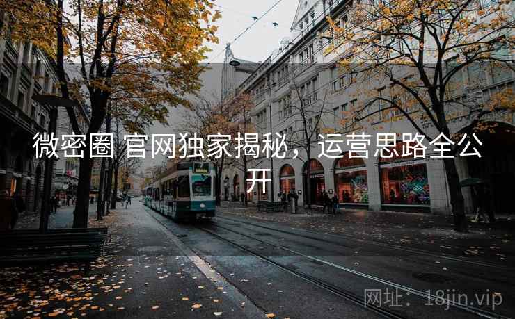 微密圈 官网独家揭秘，运营思路全公开