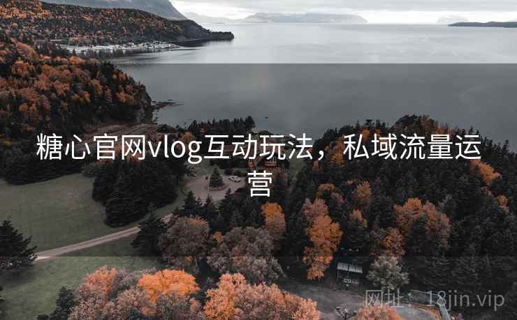 糖心官网vlog互动玩法，私域流量运营