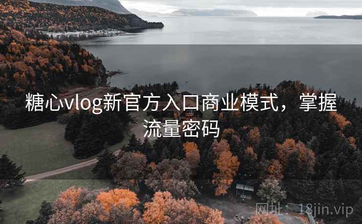 糖心vlog新官方入口商业模式，掌握流量密码